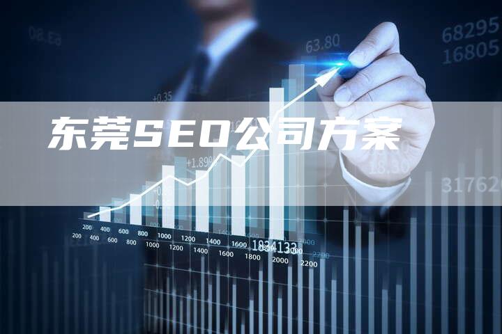 东莞SEO公司方案