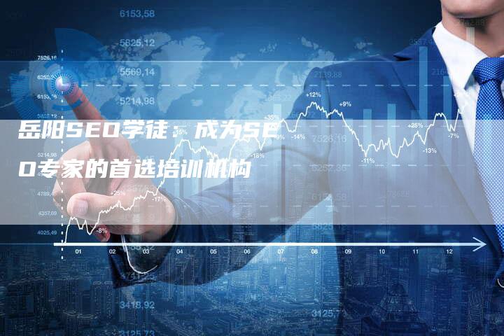 岳阳SEO学徒：成为SEO专家的首选培训机构