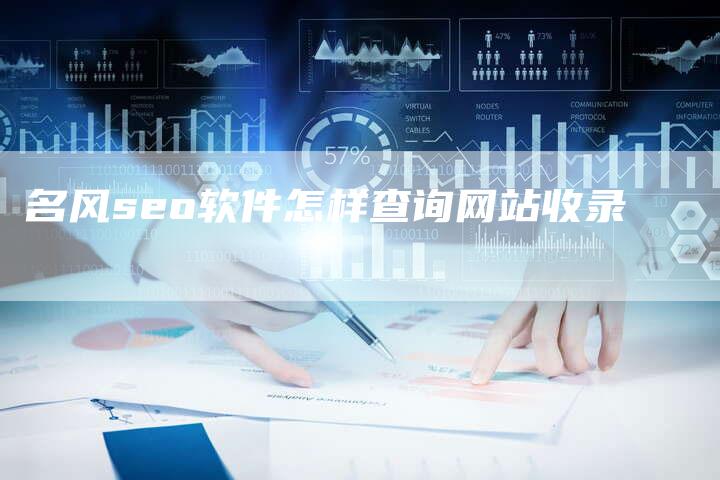 名风seo软件怎样查询网站收录