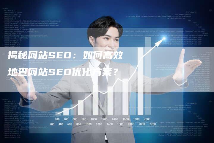 揭秘网站SEO：如何高效地查网站SEO优化方案？