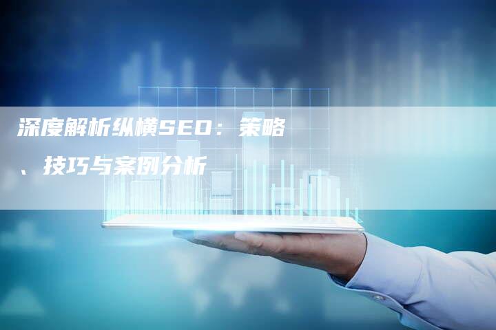 深度解析纵横SEO：策略、技巧与案例分析