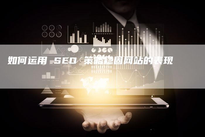 如何运用 SEO 策略稳固网站的表现