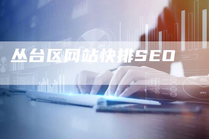 丛台区网站快排SEO