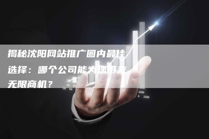 揭秘沈阳网站推广圈内最佳选择：哪个公司能为您带来无限商机？