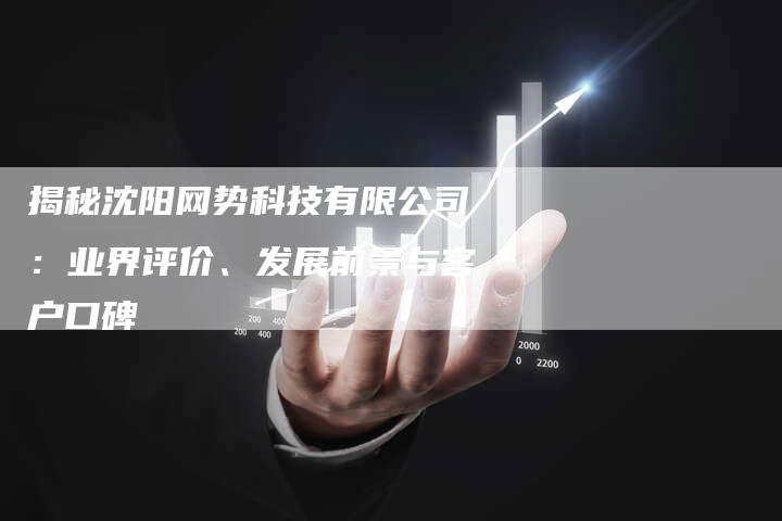 揭秘沈阳网势科技有限公司：业界评价、发展前景与客户口碑