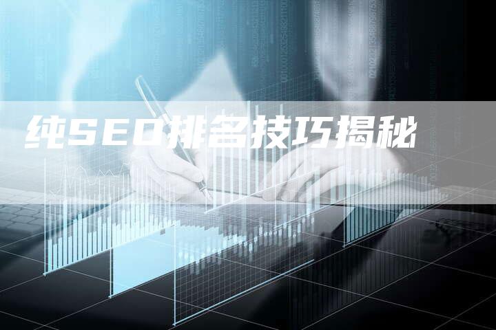 纯SEO排名技巧揭秘