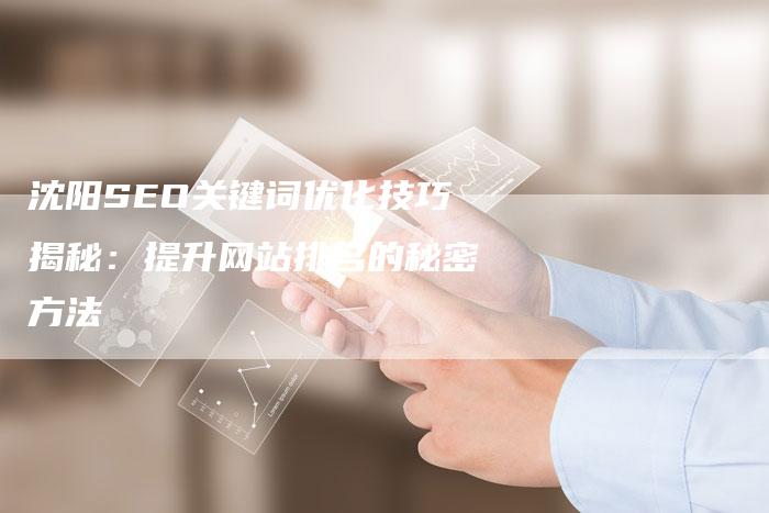 沈阳SEO关键词优化技巧揭秘：提升网站排名的秘密方法